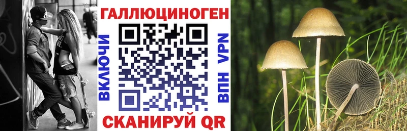 Купить закладки  Юхнов  Псилоцибиновые грибы прущие грибы 